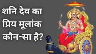 Lord Shani favourite Mulank, Lucky Mulank for Shani Dev, Shani Dev and numerology connection, Shani Dev blessings by birth number, Shani Dev astrology numerology, Shani Dev lucky numbers in numerology, Which Mulank is blessed by Shani Dev, Which birth numbers are favoured by Shani Dev, Numerology numbers ruled by Lord Shani Shani Dev’s favourite numerology Mulanks, Mulank prediction for Shani Dev blessings, People born on these dates get Shani Dev’s grace, Shani Dev effects based on Mulank in numerology