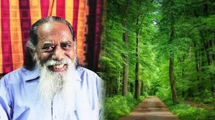 Maruti chitampalli| wildlife| forest