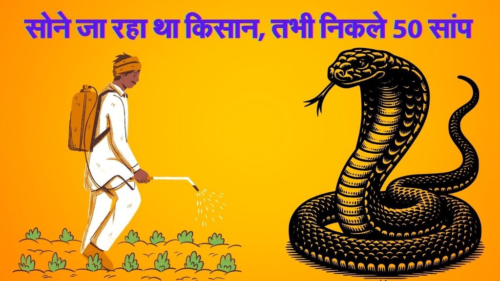 Meerut News, Farmer House, Snakes