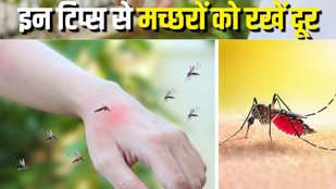 Machar Bhagane Ka Desi Upay | Mosquito Repellent Tips | Tips to keep mosquitoes away
