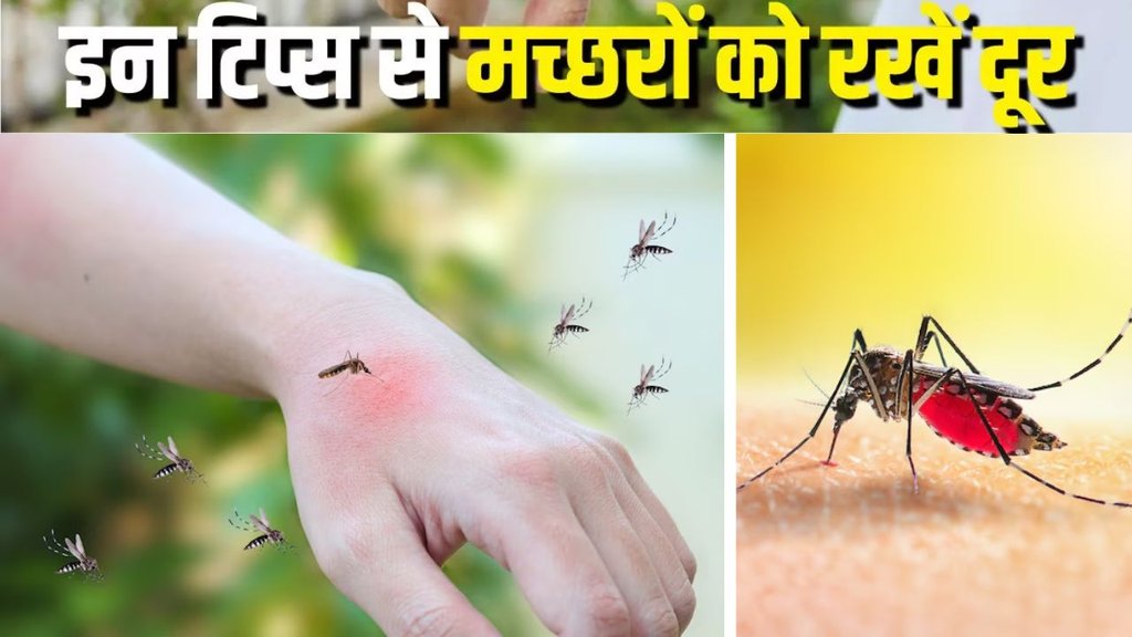 Machar Bhagane Ka Desi Upay | Mosquito Repellent Tips | Tips to keep mosquitoes away