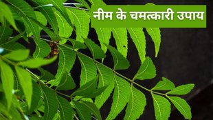 Neem remedies for astrology, Astrological benefits of Neem, Neem totke for bad planets, Neem remedies for Grah Dosh, How to use Neem for Vastu and astrology, Neem leaf remedies for problems, Neem spiritual benefits in astrology, Neem remedies for financial problems, Astrological use of Neem in Hinduism, Neem upay for peace and prosperity, Neem remedies for negative energy