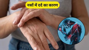 foods to improve vitamin b12, Vitamin Deficiency Causing Nerve Pain, Nerve Pain