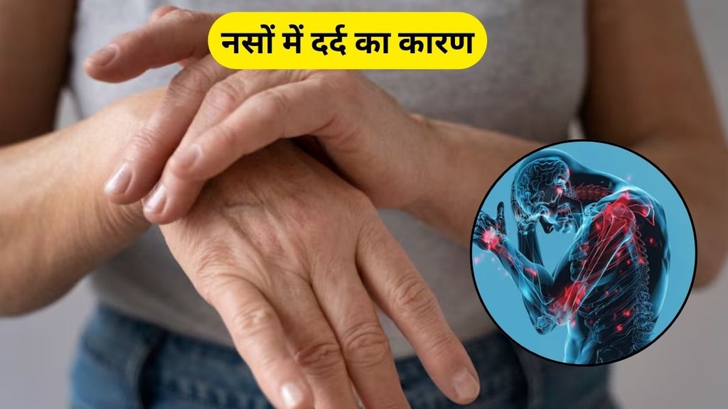 foods to improve vitamin b12, Vitamin Deficiency Causing Nerve Pain, Nerve Pain