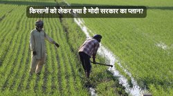 मोदी सरकार के 11 साल: किसानों के बीच जाएगा BJP किसान मोर्चा, लगाएगा लाखों पौधे; समझिए क्या है पूरा प्लान