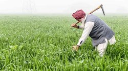 PM Kisan 20th Installment: पीएम किसान की 20वीं किस्त जल्द आएगी, जानें आपको 2000 रुपये मिलेंगे या नहीं, ऐसे करें आसानी से पता