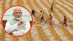 What is PM Kisan Mandhan Yojana: क्या है पीएम किसान मानधन योजना? अन्नदाताओं को हर साल मिलेंगे 36 हजार रुपये, इस सरकारी स्कीम के बारे में जानें सबकुछ
