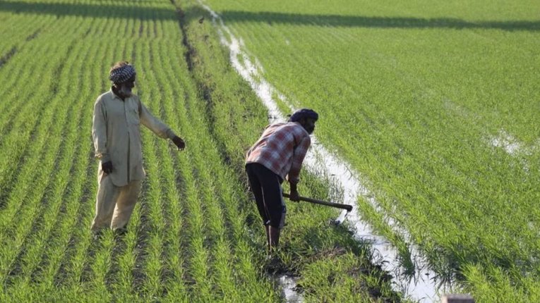 गुड न्यूज, इन 46.62 लाख किसानों के खाते में कल आएंगे 7000 रुपये