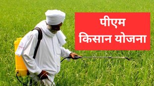 PM Kisan Yojana 20th Installment, PM Kisan Yojana, PM Kisan