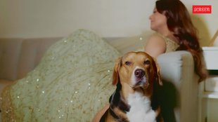 South Actress Priyamani, Priyamani Birthday, Happy Birthday Priyamani