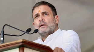 Rahul Gandhi 55th Birthday, Rahul Gandhi Birthday Celebration