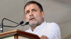 Google Trends: 55 के हुए राहुल गांधी; जानिए उस घटना के बारे में जब RaGa ने फाड़ा अपनी ही सरकार का अध्यादेश