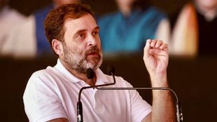 Rahul Gandhi, Delhi Congress