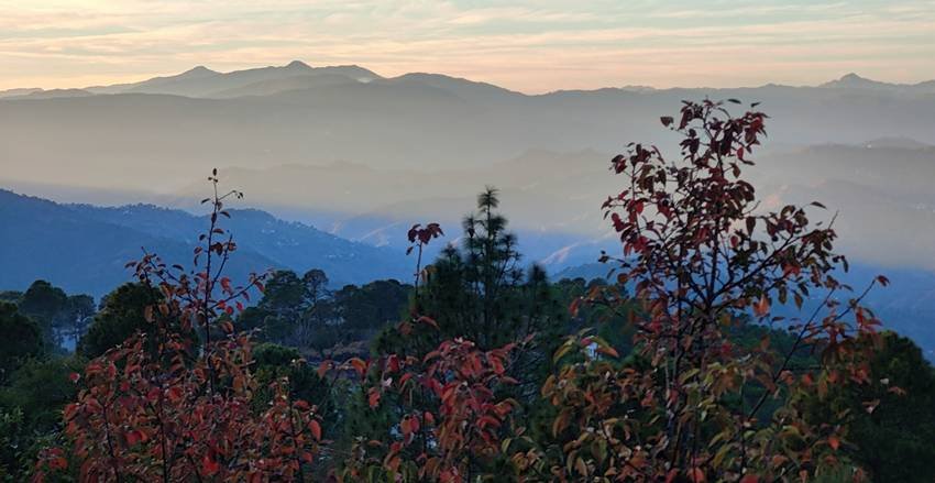 Ranikhet