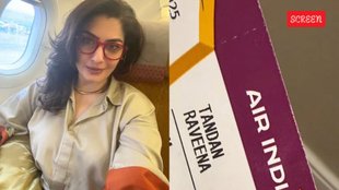 Raveena Tandon Air India controversy, Raveena Tandon Air India post