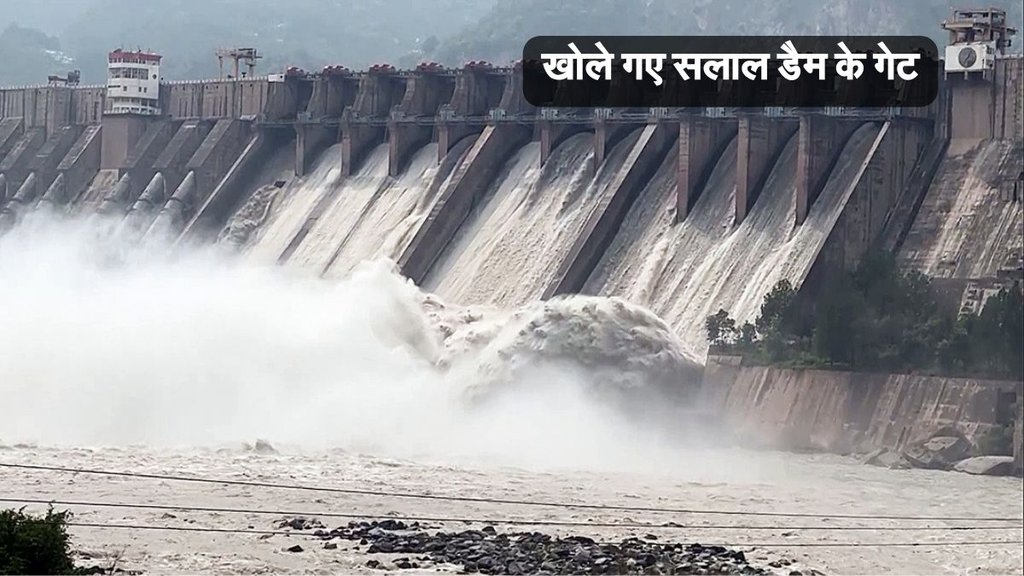 salal dam is on which river, salal dam gates opened, salal dam news, chenab river, hindi news, hindi samachar, today news, today