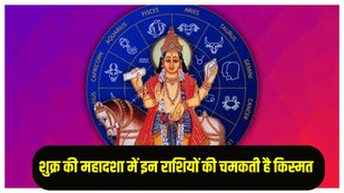 Shukra Mahadasha, Shukra Mahadasha ke labh