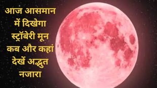 strawberry moon 2025 india time, strawberry moon 2025, strawberry moon 2025 meaning