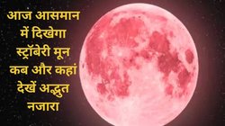 Strawberry Moon 2025 in India: आसमान में दिखा स्ट्रॉबेरी मून का अद्भुत नजारा