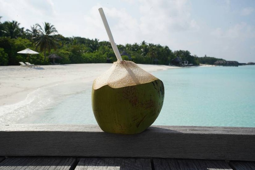 summer hydration tips