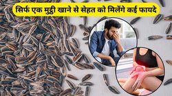 रोज एक मुट्ठी खा लें ये बीज, स्ट्रेस की हो जाएगी छुट्टी और मूड हमेशा रहेगा कूल, जिंक और मैग्नीशियम की भी नहीं होगी कमी