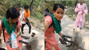 viral video| trending video| viral instagram reels