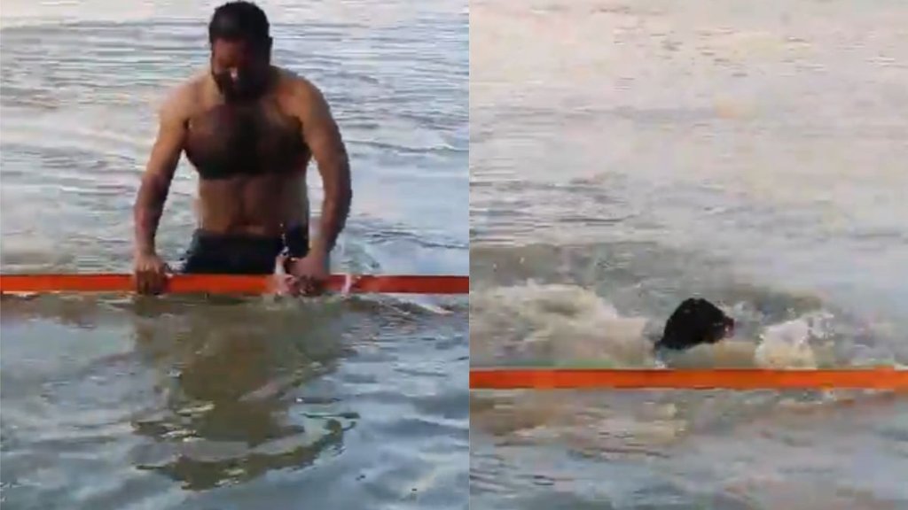 haridwar,ganga snan,death,viral video