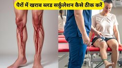 पैरों में ब्लड सर्कुलेशन कैसे बढ़ाएं? खराब होने पर नजर आते हैं ये 3 लक्षण, एक्सपर्ट ने बताए 5 आसान टिप्स