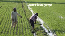 किसानों के लिए गुड न्यूज! खेती में मददगार इन यंत्रों पर सब्सिडी दे रही सरकार, ऐसे करें अप्लाई