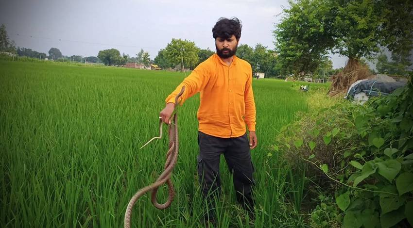 Murliwale Hausla