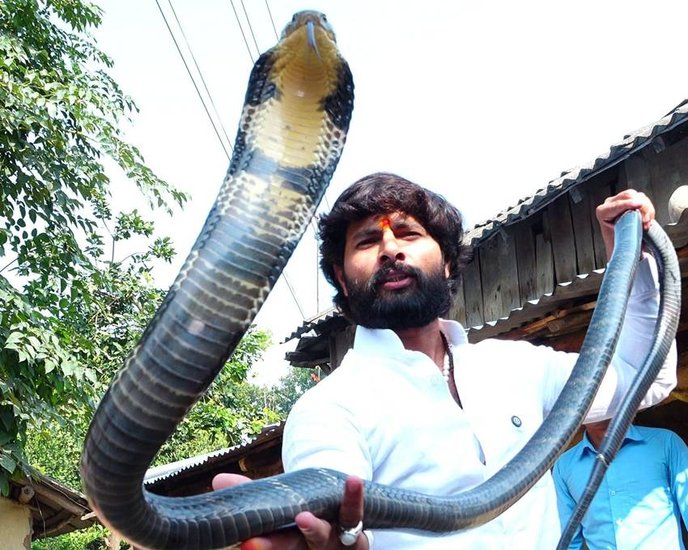 snake rescuer Murliwale Hausla