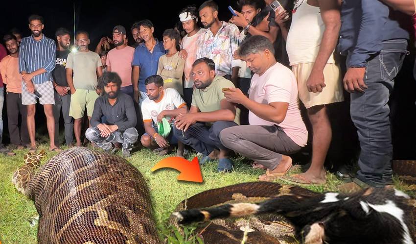 snake savior Murliwale Hausla