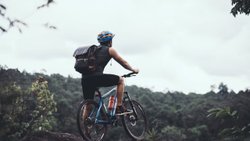 World Bicycle Day: रोजाना सुबह साइकिल चलाने के 5 फायदे, वर्कआउट के लिए यहां जानिए कितनी देर चलाना पर्याप्त