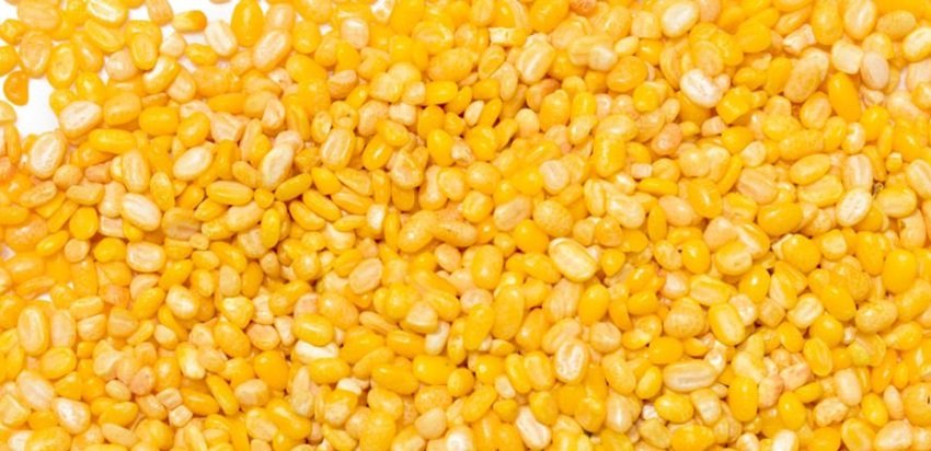 mung bean