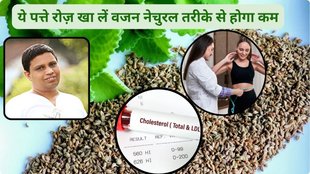 Benefits of ajwain leaves for skin, Benefits of ajwain leaves for hair, ajwain leaves benefits for cough, ajwain leaves medicinal uses how to use Ajwain leaves