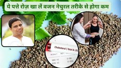 गर्मी में इस 1 मसाले के 4-5 पत्तों को रोज़ चबा लें, कोलेस्ट्रॉल होगा कंट्रोल और वजन हो जाएगा कम, आचार्य बालकृष्ण ने बताएं फायदे