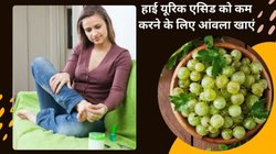 आंवला को इस तरह खा लें, हड्डियों में जमा सारा यूरिक एसिड निकल जाएगा बाहर, इन 3 समस्याओं से भी मिल सकता है छुटकारा