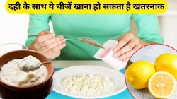 दही के साथ भूलकर भी नहीं खाएं ये 1 चीज, नहीं तो फायदे की जगह शरीर पर होंगे खतरनाक साइडइफेक्ट