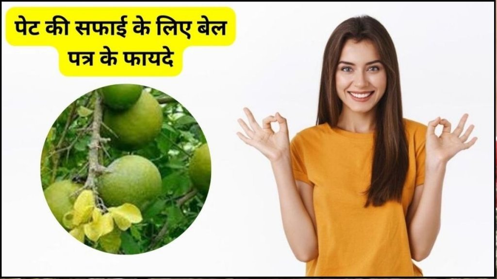 benefits of belpatra, belpatra, belpatra benefits, Bael Patra Benefits, Bel Patra, what happens if you eat bel patra, bel patra leaves benefits