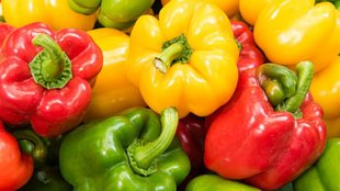 Kachi Shimla Mirch Khane Ke Fayde, benefits of capsicum, eat raw capsicum or cooked, shimla mirch kachi ya pakki khani chahiye, shimla mirch ke fayde, shimla mirch, Capsicum Benefits