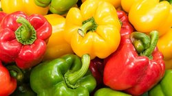 Shimla Mirch Ke Fayde: शिमला मिर्च ​पकी हुई या कच्ची खाना ज्यादा फायदेमंद, एक्सपर्ट से जानिए कैसे खाने पर सेहत को मिलेंगे फायदे