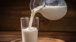 Milk For Weight Loss: क्या दूध से वजन घट सकता है? जानिए मांसपेशियों पर कैसे करता है असर