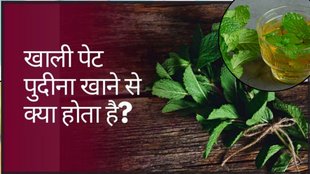 benefits of mint pudina, pudina for improve digestion, improve digestion, pudina for weight loss, pudina for Liver, pudina for Kidney Detox, pudina ke pani ke fayde in hindi