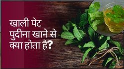 सुबह खाली पेट पिएं पुदीने का पानी, थुलथुला पेट हो जाएगा अंदर, शरीर को मिलेंगे 5 गजब के फायदे