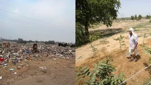 Noida forest transformation, dumpyard cleanup, SAFE NGO, GNIDA, NPCL, urban greenery