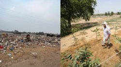 सात महीने में बदली 10 एकड़ के डंपयार्ड की तस्वीर, देखकर आप कहेंगे- कमाल हो गया