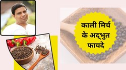 गले की खराश से लेकर बलगम तक को कंट्रोल करती है काली मिर्च, 2-4 दाने ही श्वसन तंत्र के लिए हैं अमृत, आचार्य बालकृष्ण ने कहा इस तरह करें सेवन