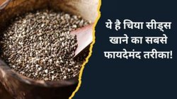 1 महीने तक रोज सुबह खाली पेट खाएं चिया सीड्स, शरीर में होने लगेंगे जबरदस्त बदलाव, एक्सपर्ट से जानिए फायदे