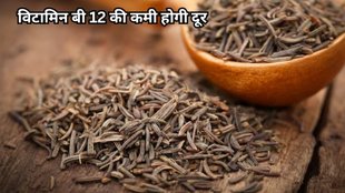 jeera ke fayde in hindi, vitamin b12 deficiency ke liye jeera, Jeera Ke Fayde, Cumin Seeds For Vitamin B12 Deficiency