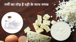 दही में 1 चुटकी नमक डालें ये सुपरफूड बन जाएगा अमृत, मामूली सा Salt कैसे गर्मी में सेहत पर करता है असर, जानिए